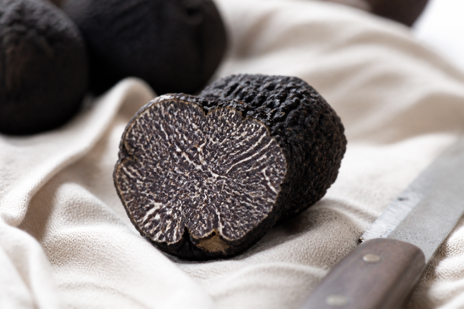 Truffe noire Tuber melanosporum entaillée au couteau, chair noire violacée finement veinée de blanc, posée sur un linge